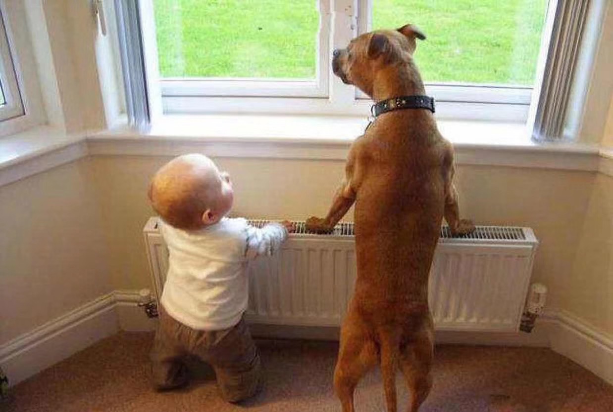 德國威能國產(chǎn)組裝~明裝系統(tǒng)安裝實(shí)景體驗(yàn)